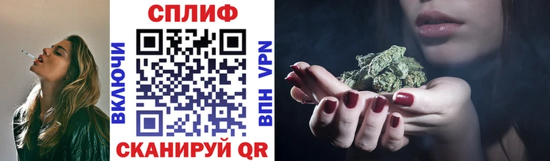 Купить закладку Кокаин  Псилоцибиновые грибы  ГАШИШ  Меф  A PVP  Курчатов