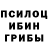 Псилоцибиновые грибы мухоморы Anonymer Dude