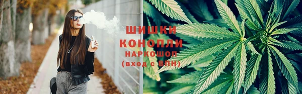 спайс Арсеньев