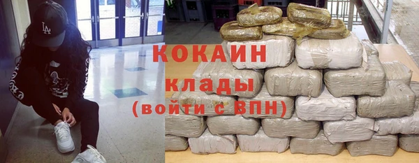 спайс Арсеньев