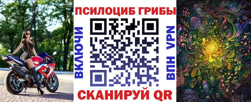 Купить где Курчатов Галлюциногенные грибы Cubensis